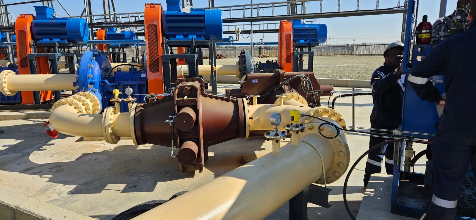 You are currently viewing Seven Years Strong