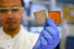 Self-repairing Coating Could Extend Corrosion Protection